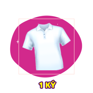 Gói Giặt Sấy (1 ký)